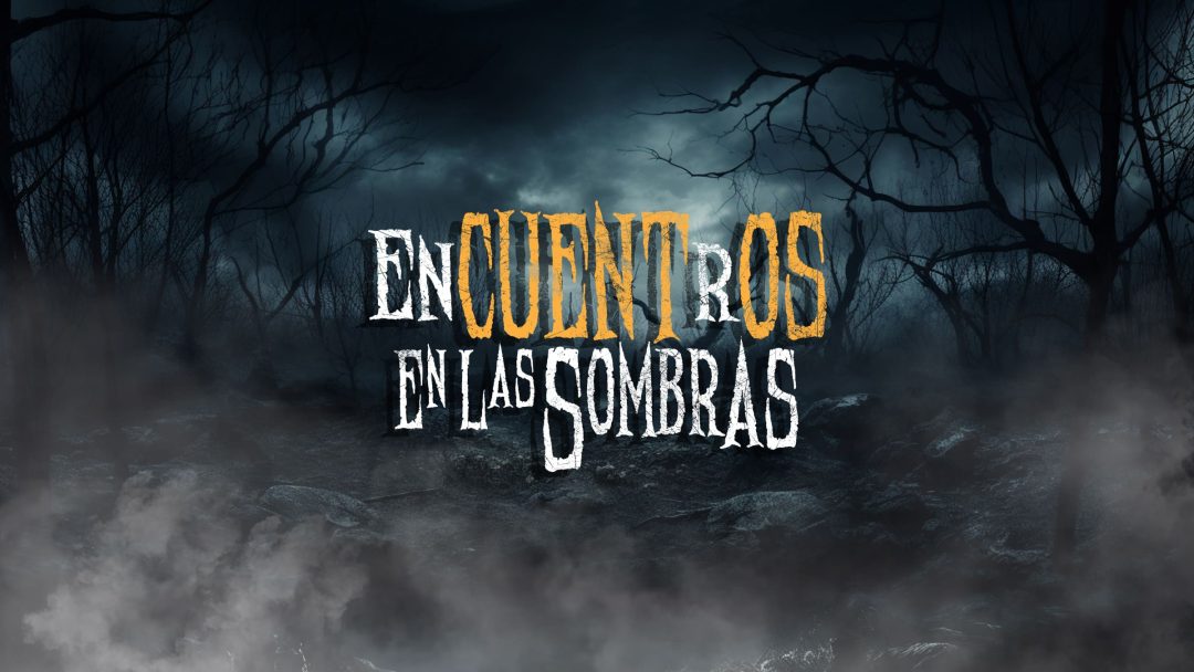 Encuentros en las sombras
